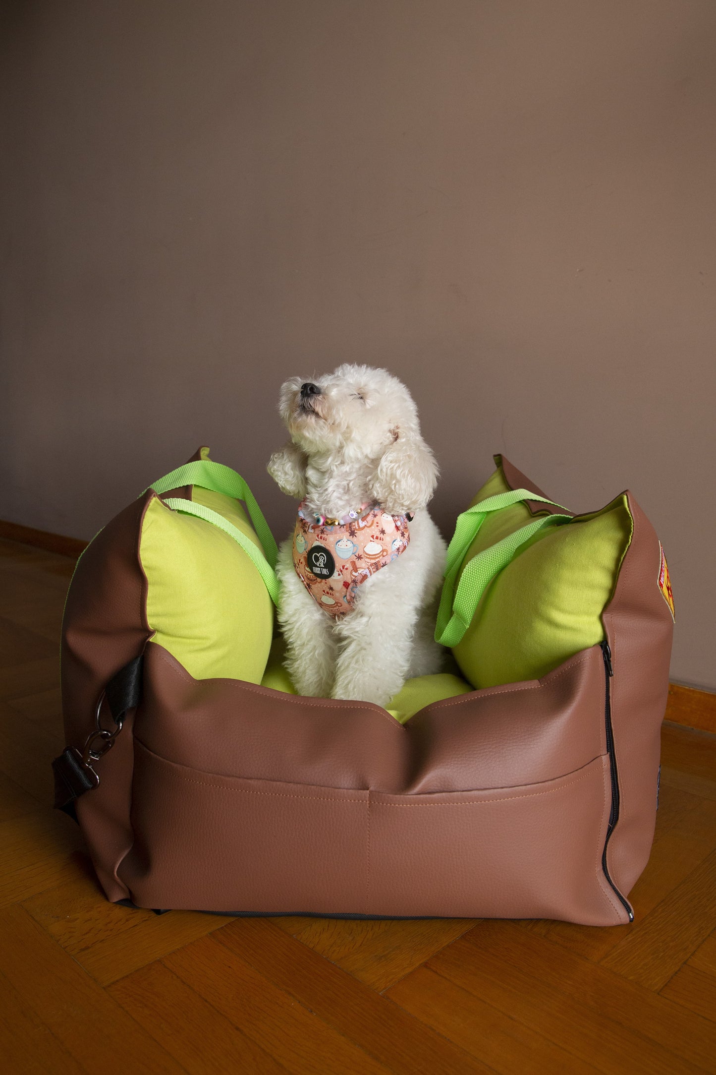 Luxury Dog Car Seat / Travel Bag - "Mocha Lime"