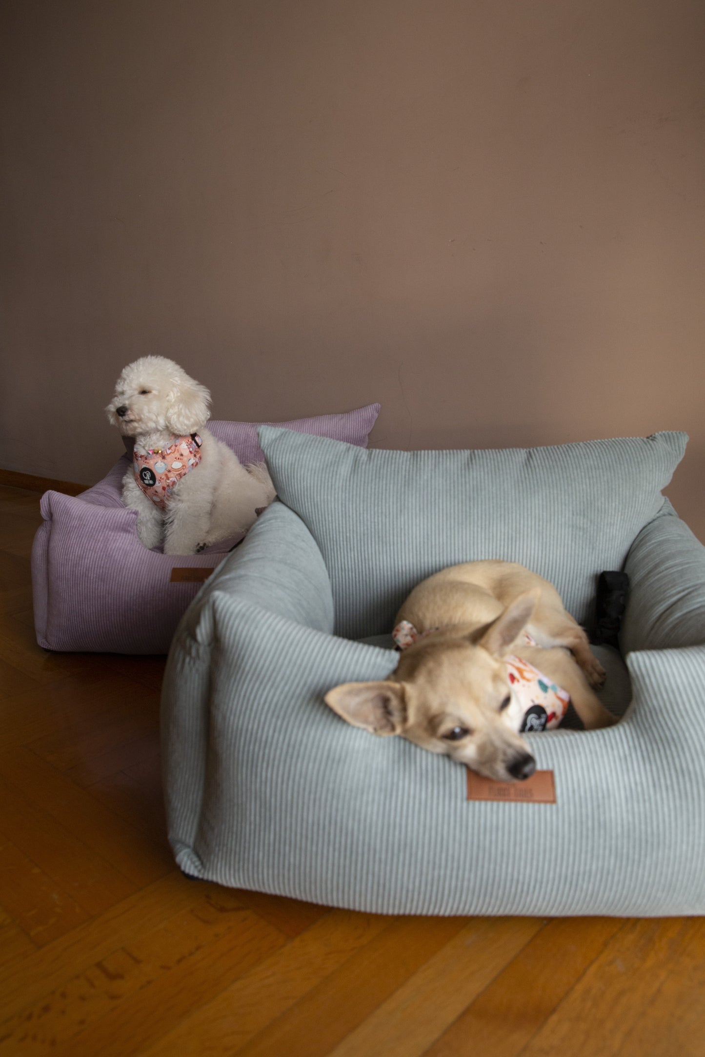 Luxury Dog Car Seat Removable Covers- Corduroy Mint