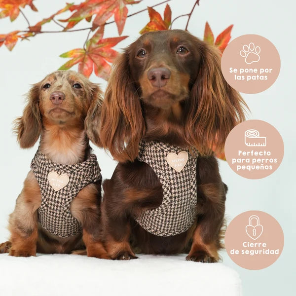 Houndstooth Step-In Harness