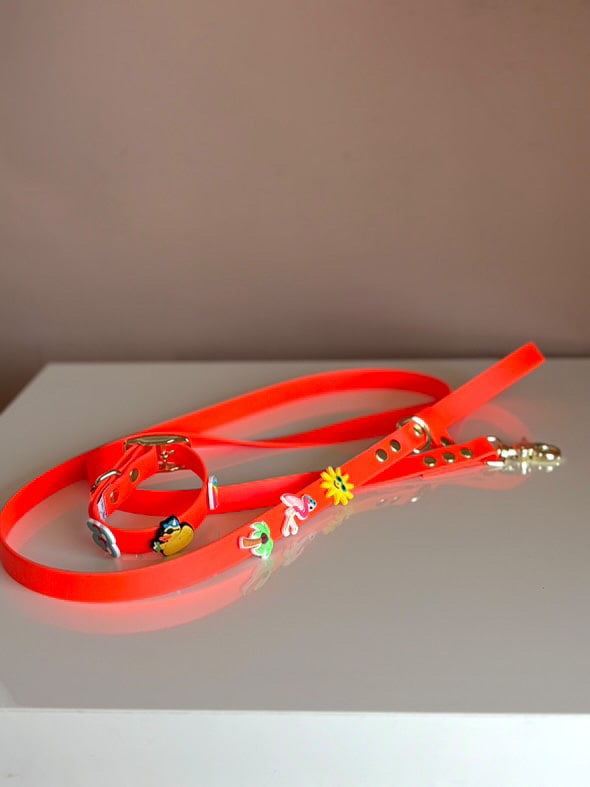 Biothane collar Orange - Summer Charms