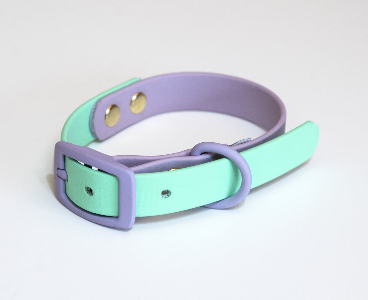 Two Tone Biothane Waterproof Collar -Purple & Green- Pastel Purple Accessories
