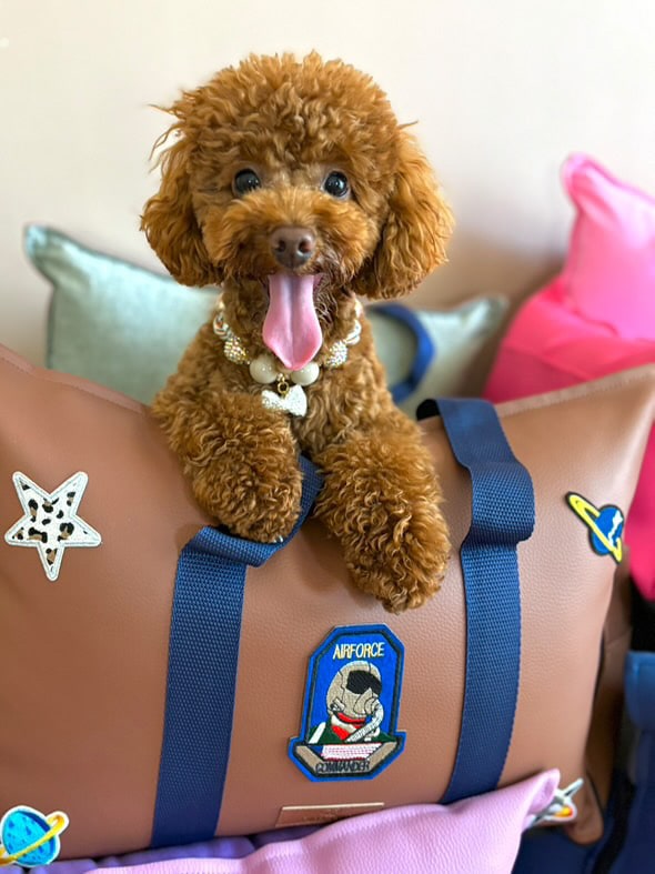 Luxury Dog Car Seat / Travel Bed - "Commander Cosmo"