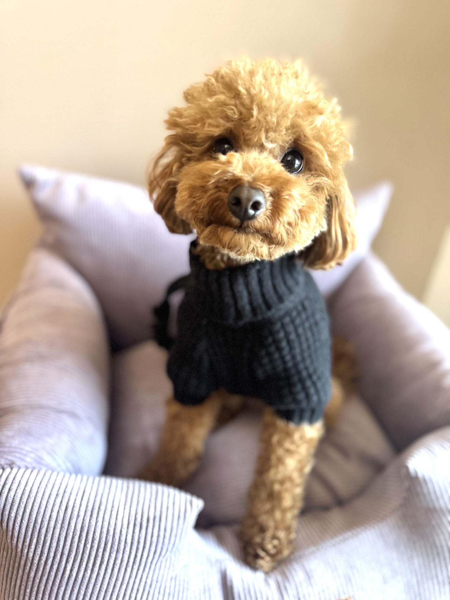 Luxury Dog Car Seat Removable Covers- Corduroy Lavender
