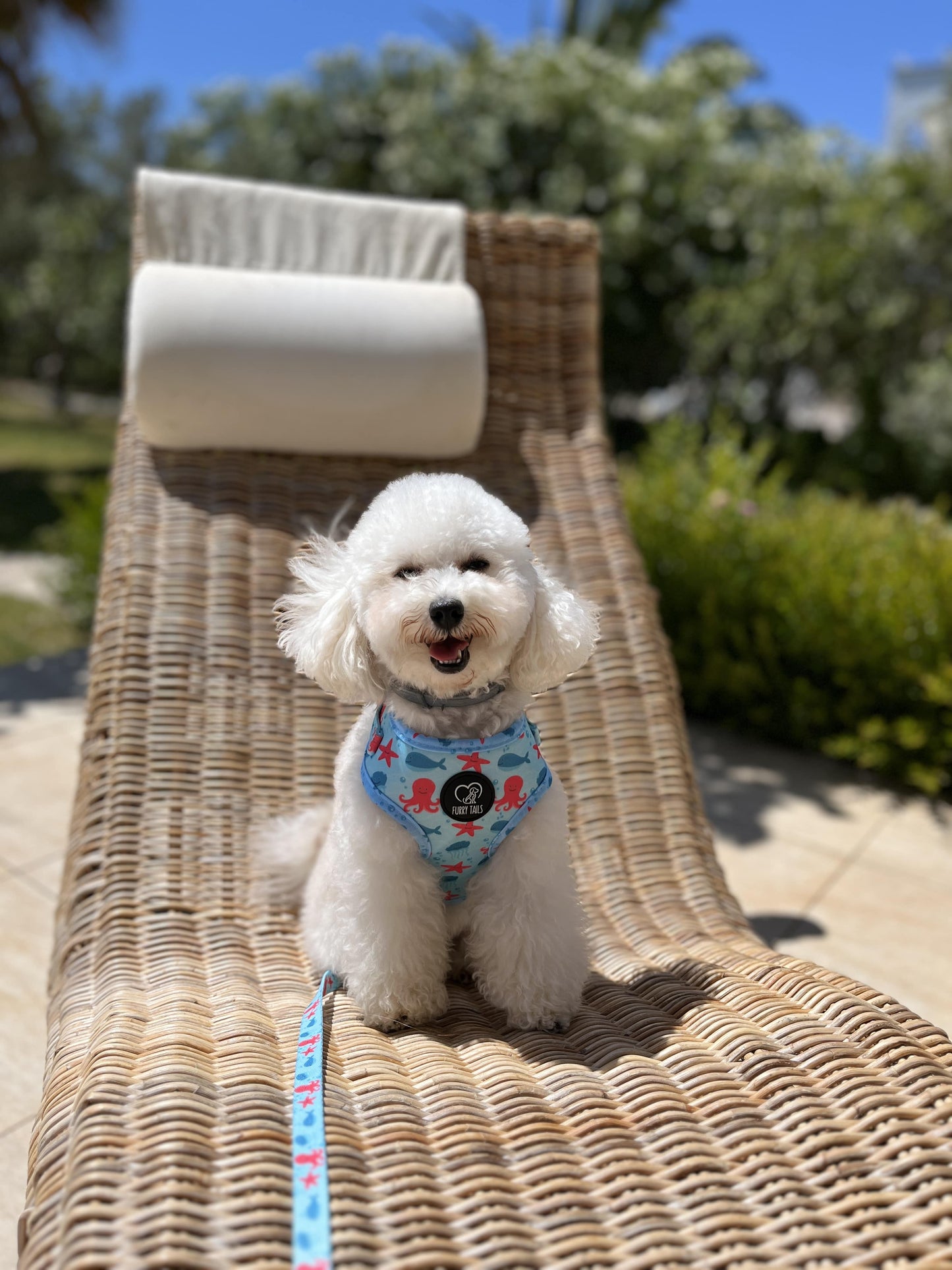 Adjustable Dog Harness - "Deep Sea"