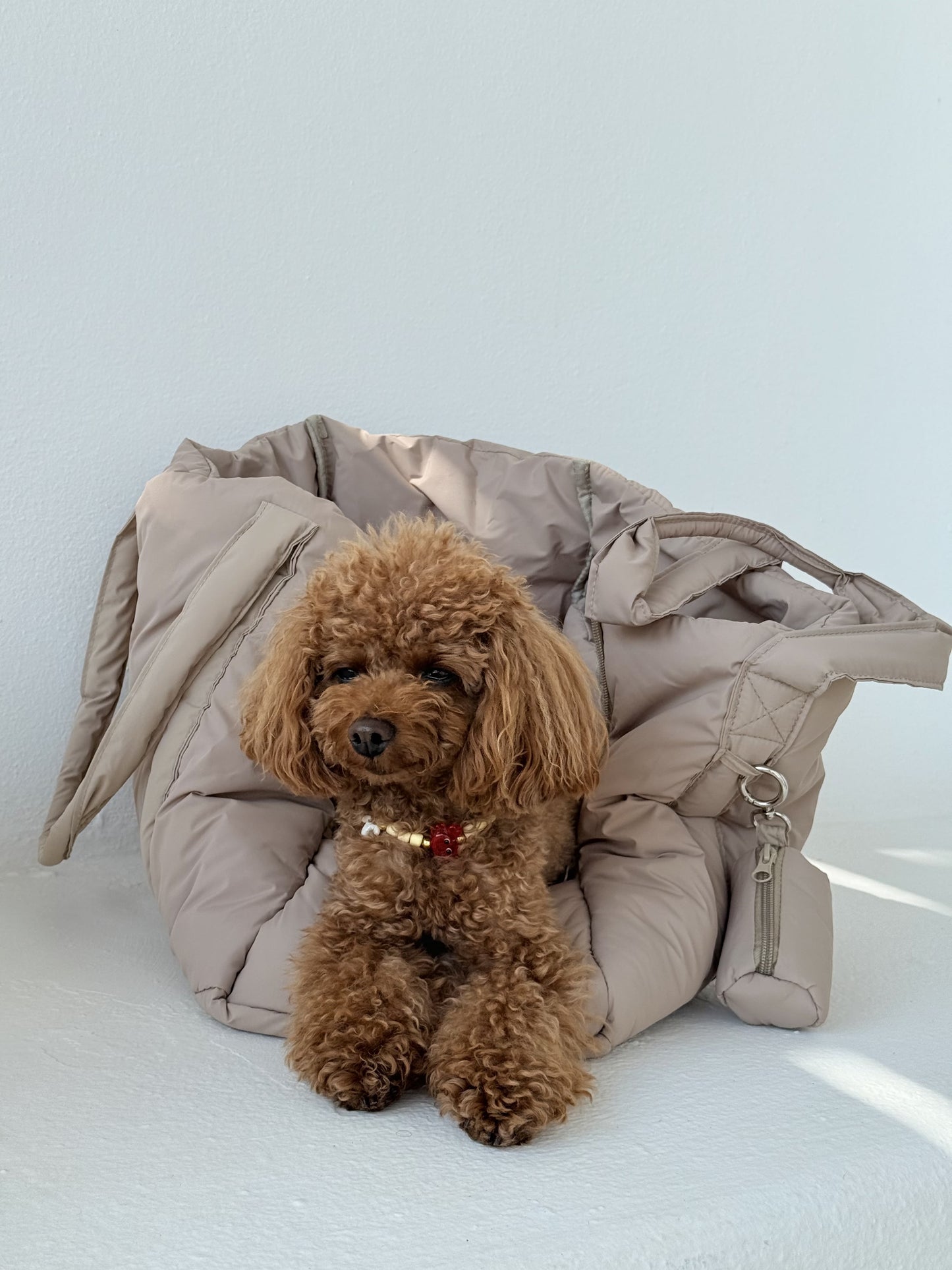 FurryTails x Toy Carrier Bag