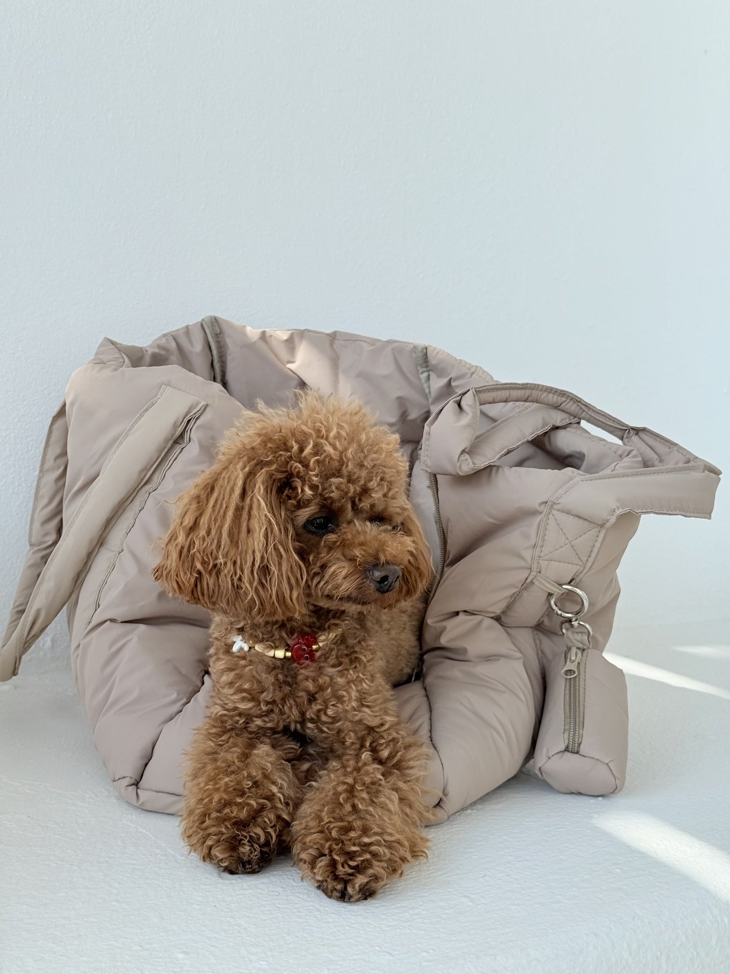 FurryTails x Toy Carrier Bag