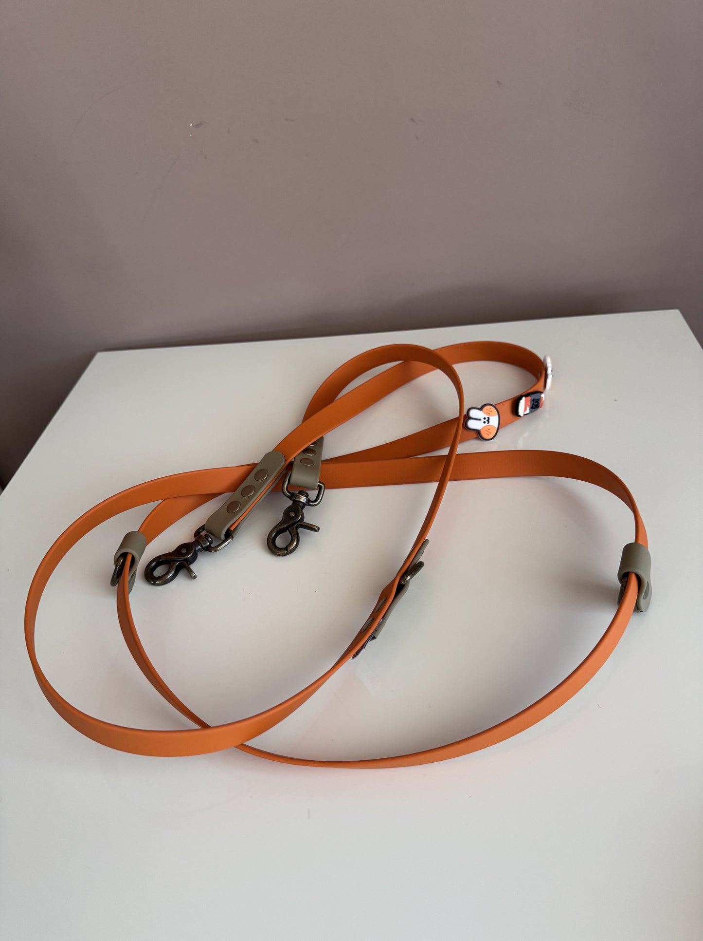 Biothane Handsfree Leash -Autumn Leaves