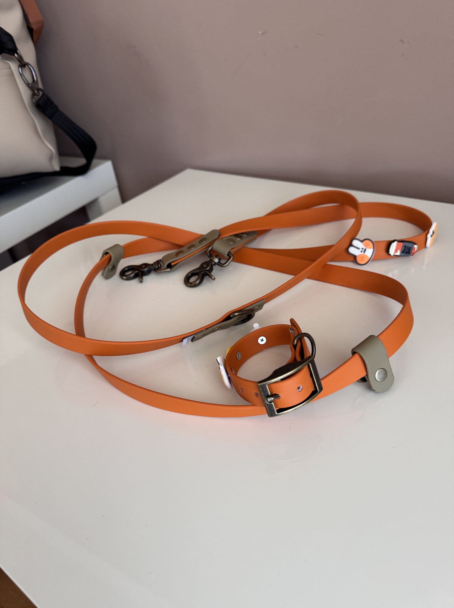 Biothane Handsfree Leash -Autumn Leaves