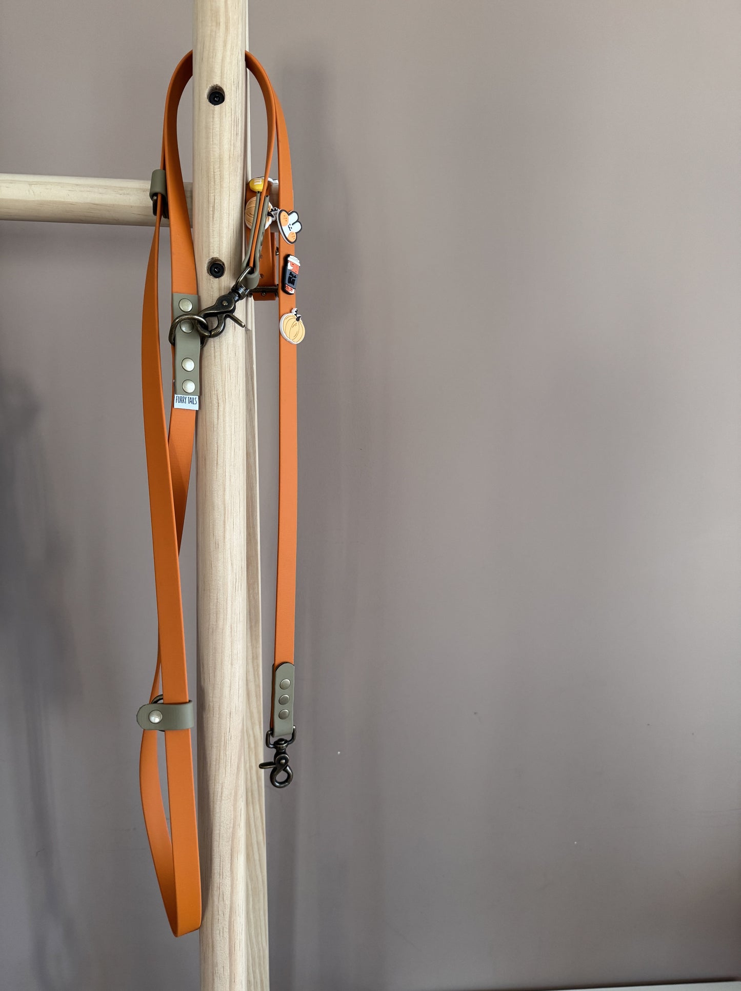 Biothane Handsfree Leash -Autumn Leaves