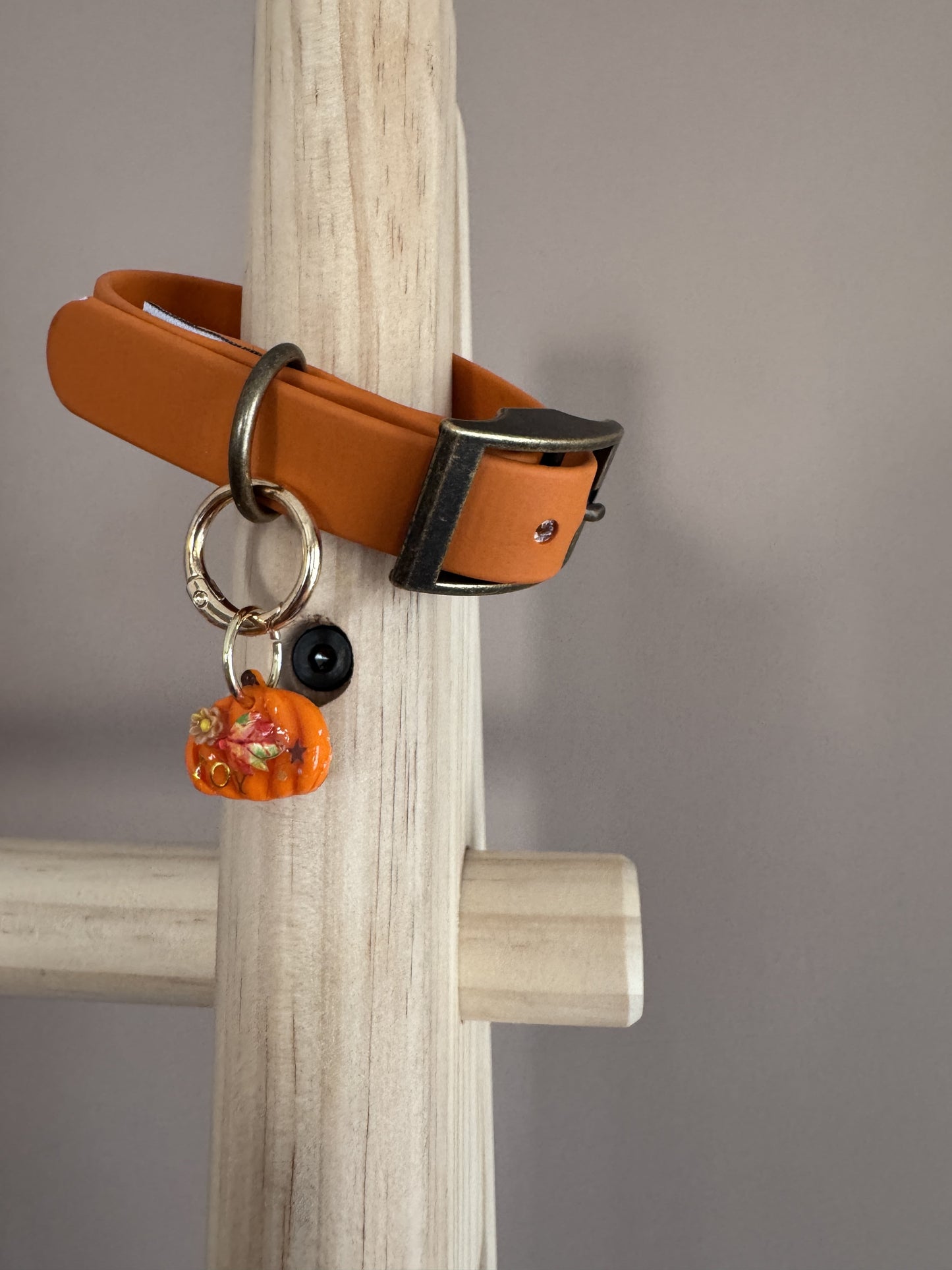 Biothane collar - Autumn Leaves
