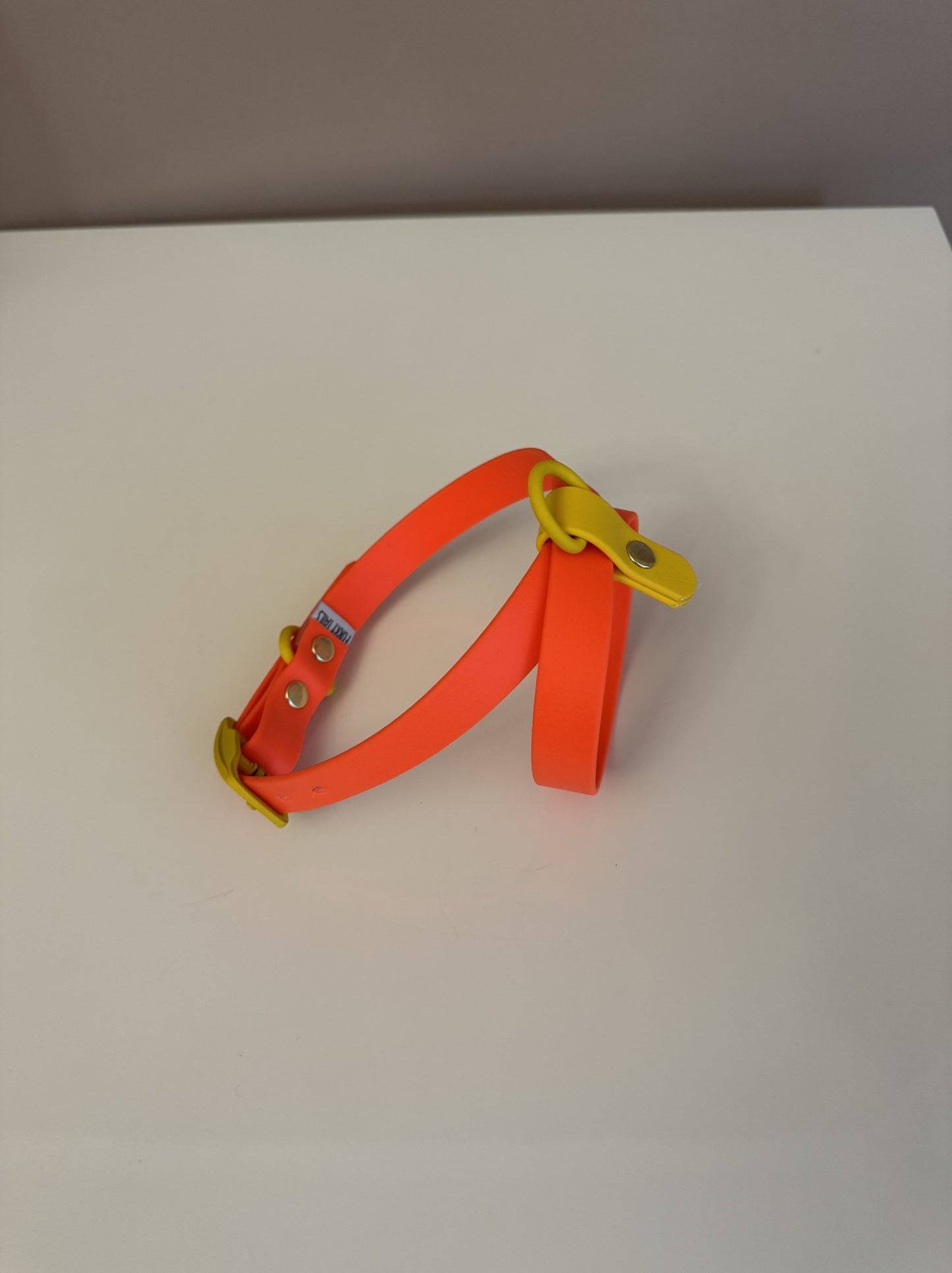 Biothane Harness –Orange & Yellow