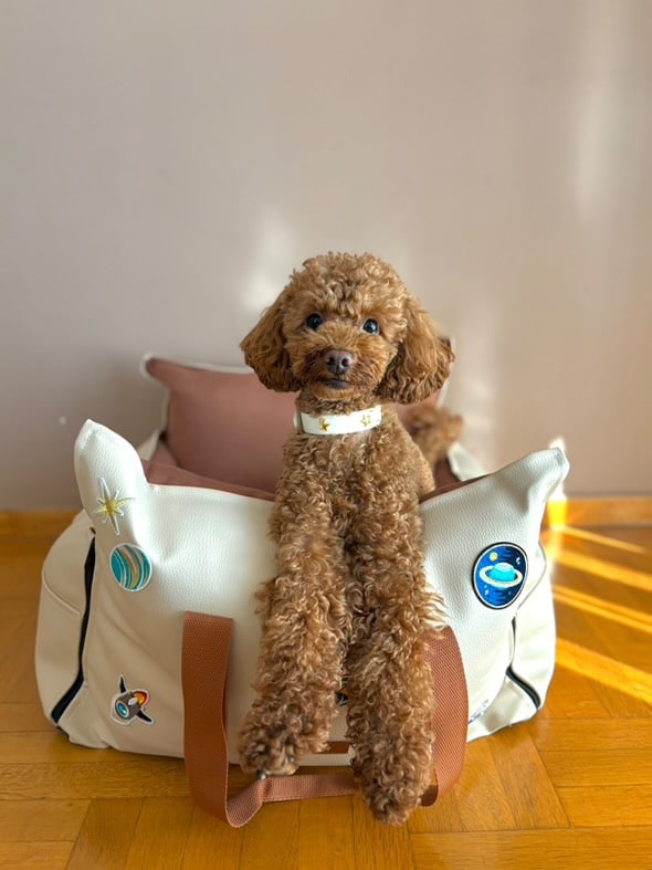 Biothane collar - Arctic Wolf