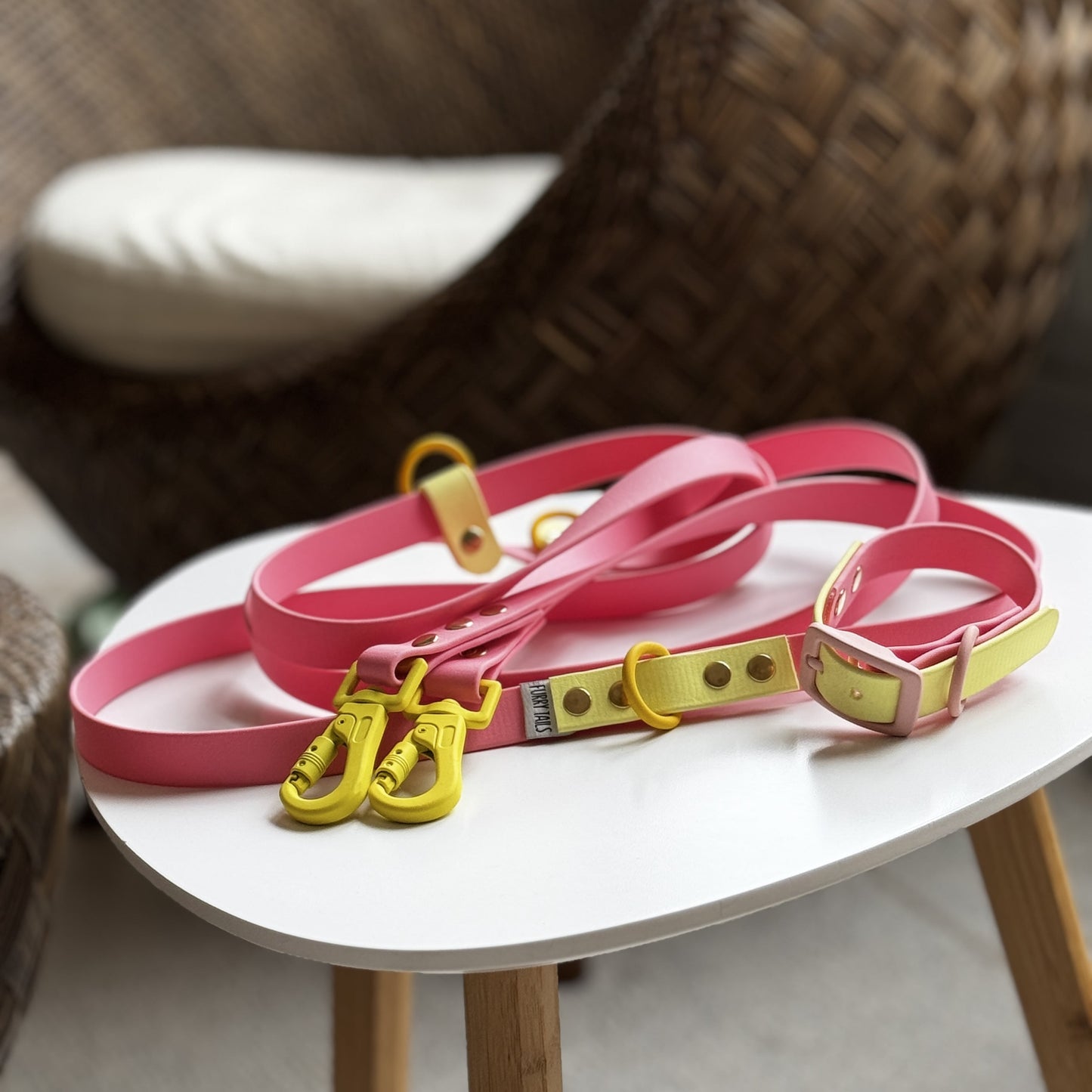 Design Your Own Biothane Collar