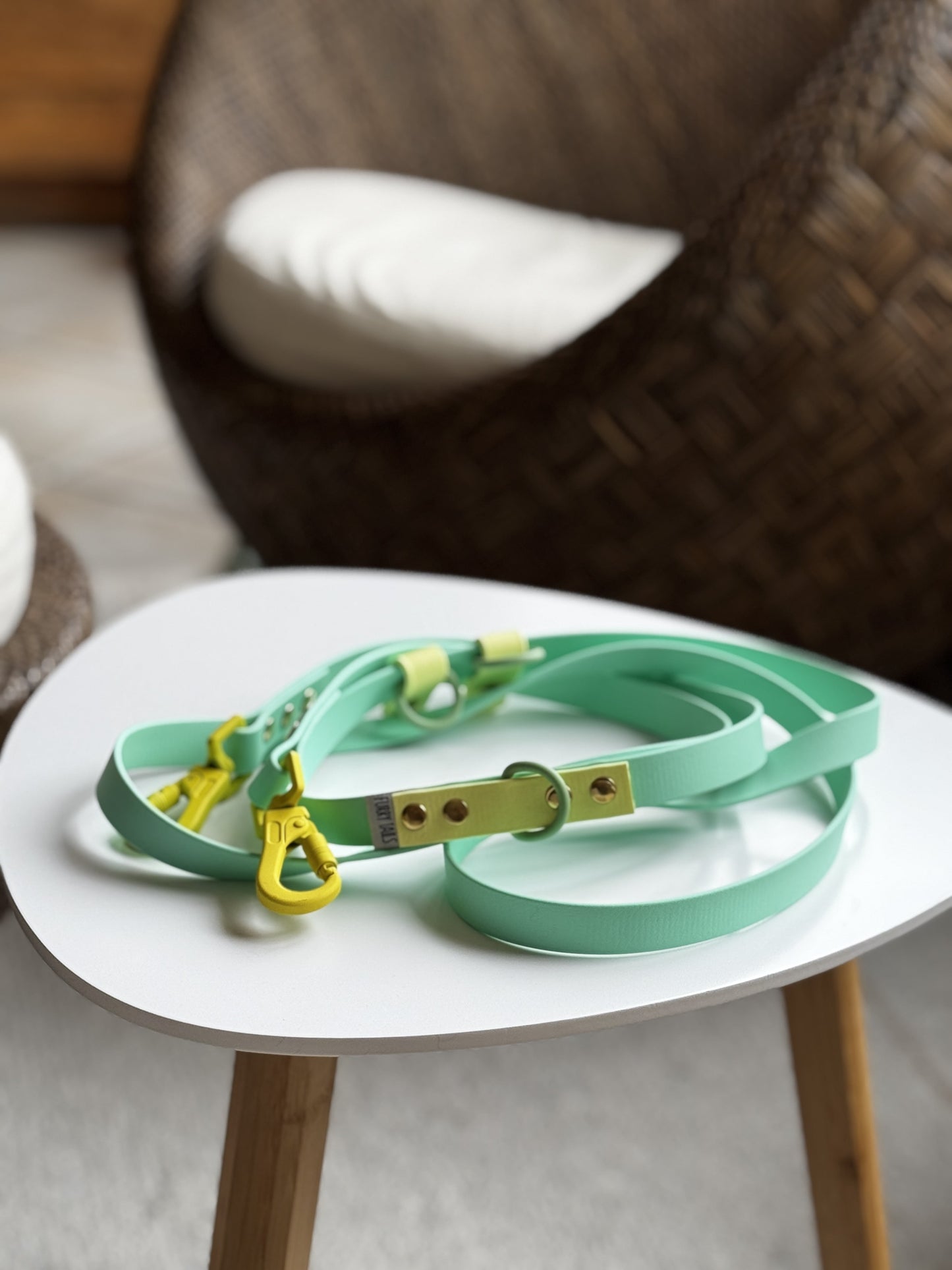 Biothane Handsfree Leash - Green & Yellow