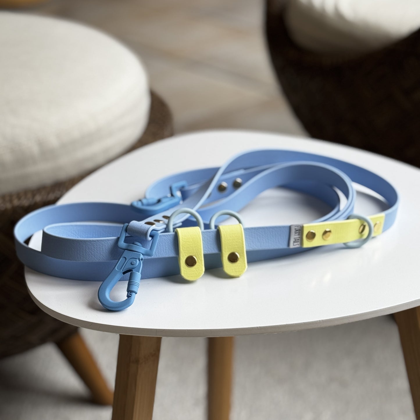 Biothane Handsfree Leash - Blue & Yellow