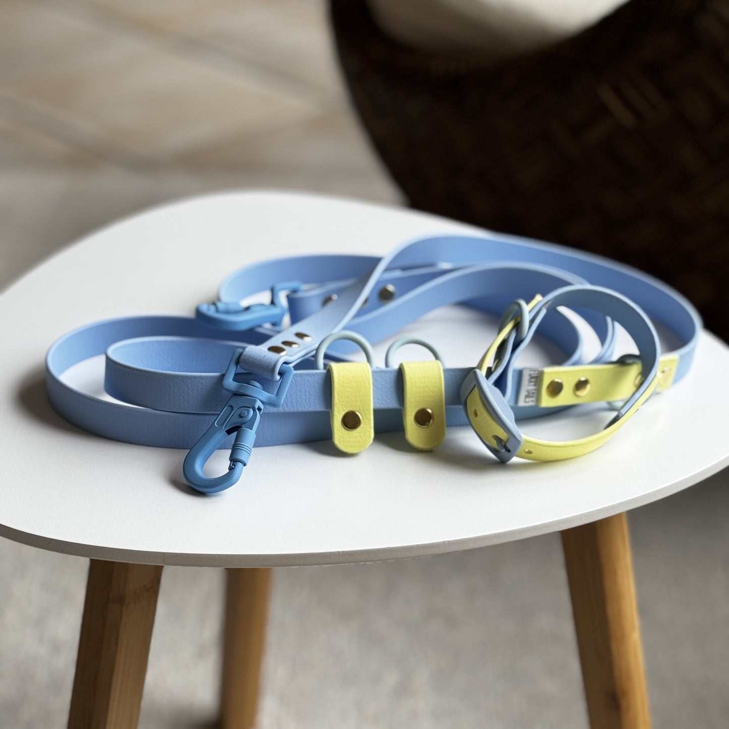 Design Your Own Biothane Collar