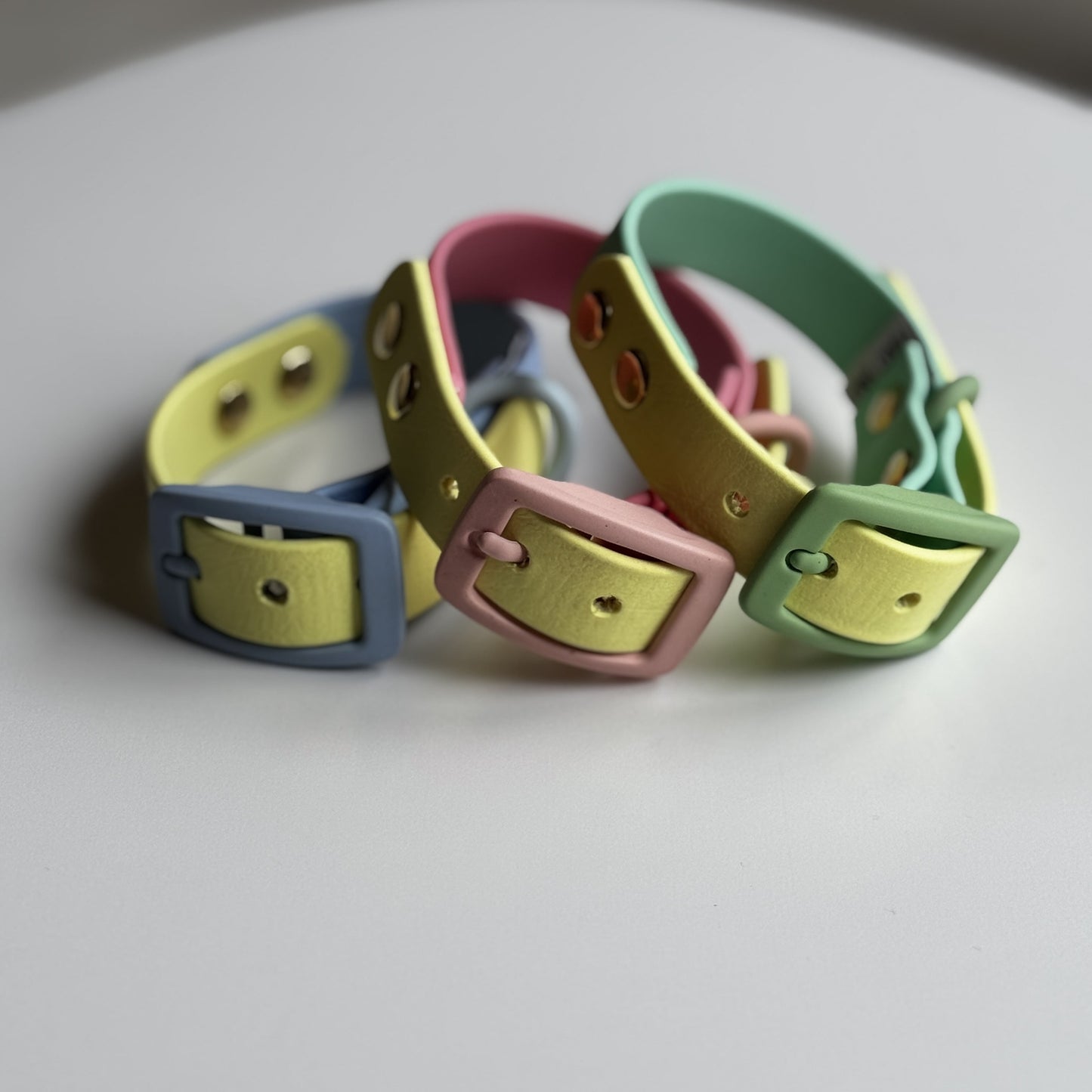 Design Your Own Biothane Collar