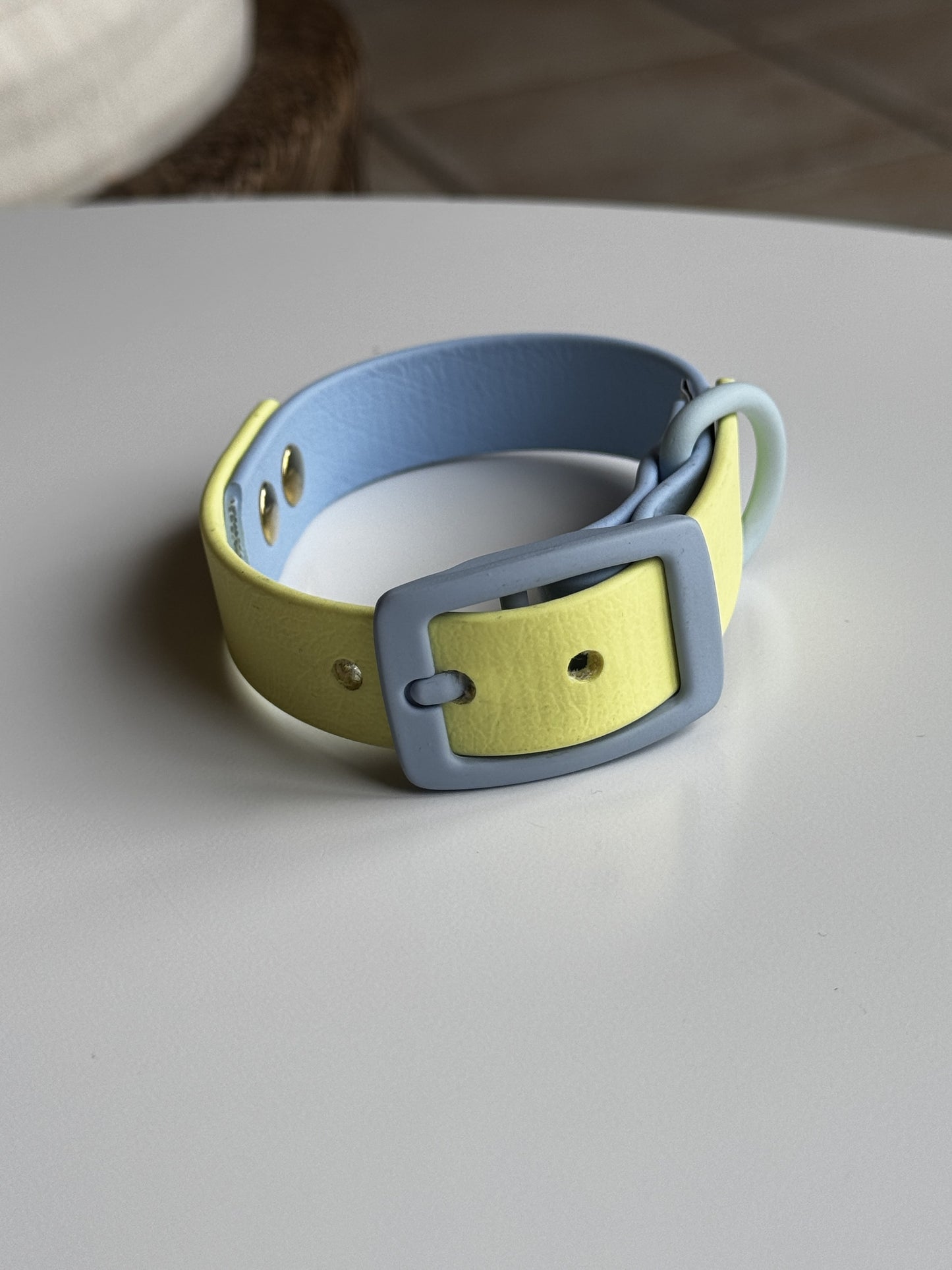 Two Tone Biothane Waterproof Collar -Blue & Yellow - Pastel Blue Accessories