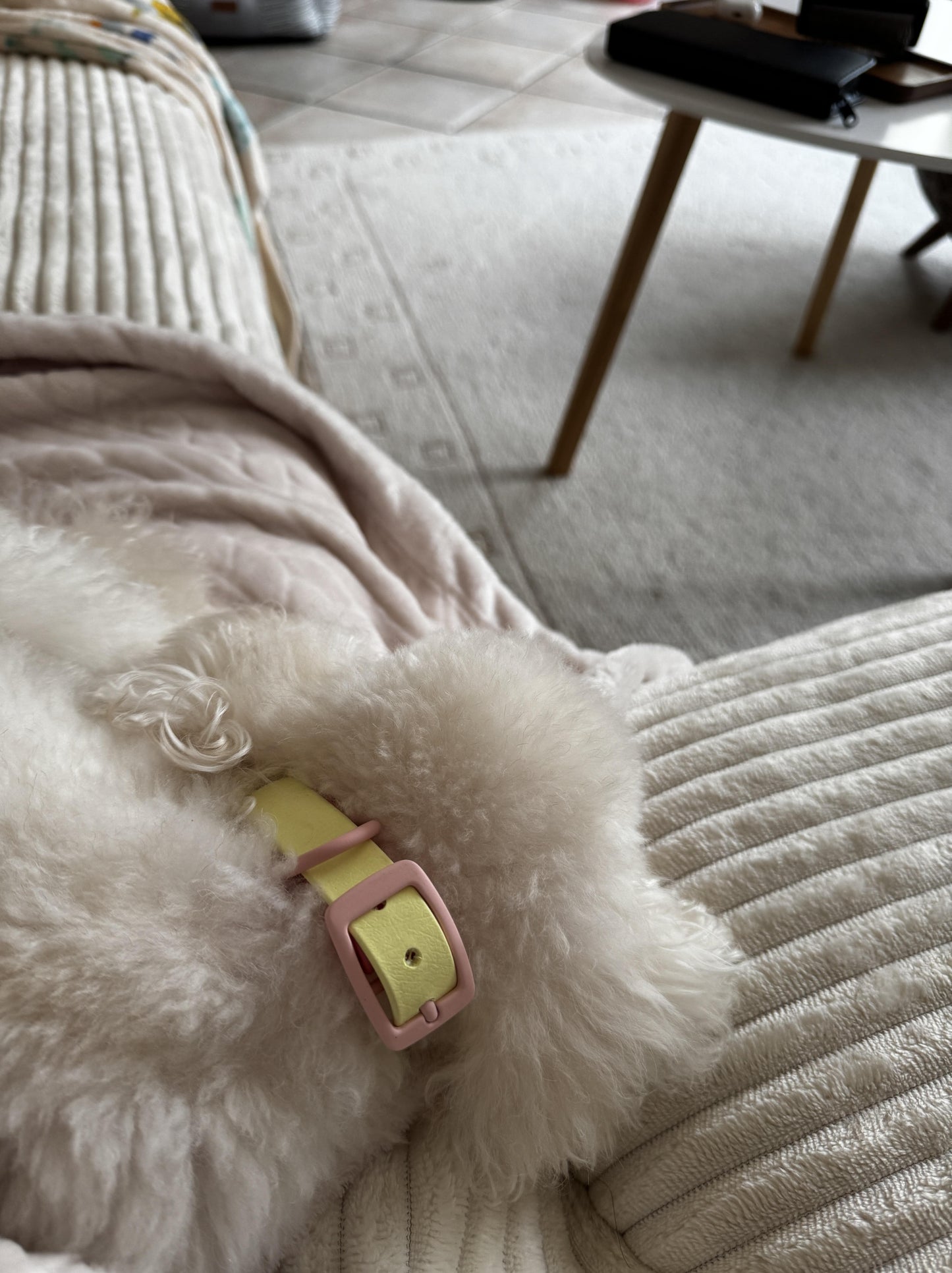 Two Tone Biothane Waterproof Collar -Pink & Yellow - Pastel Pink Accessories