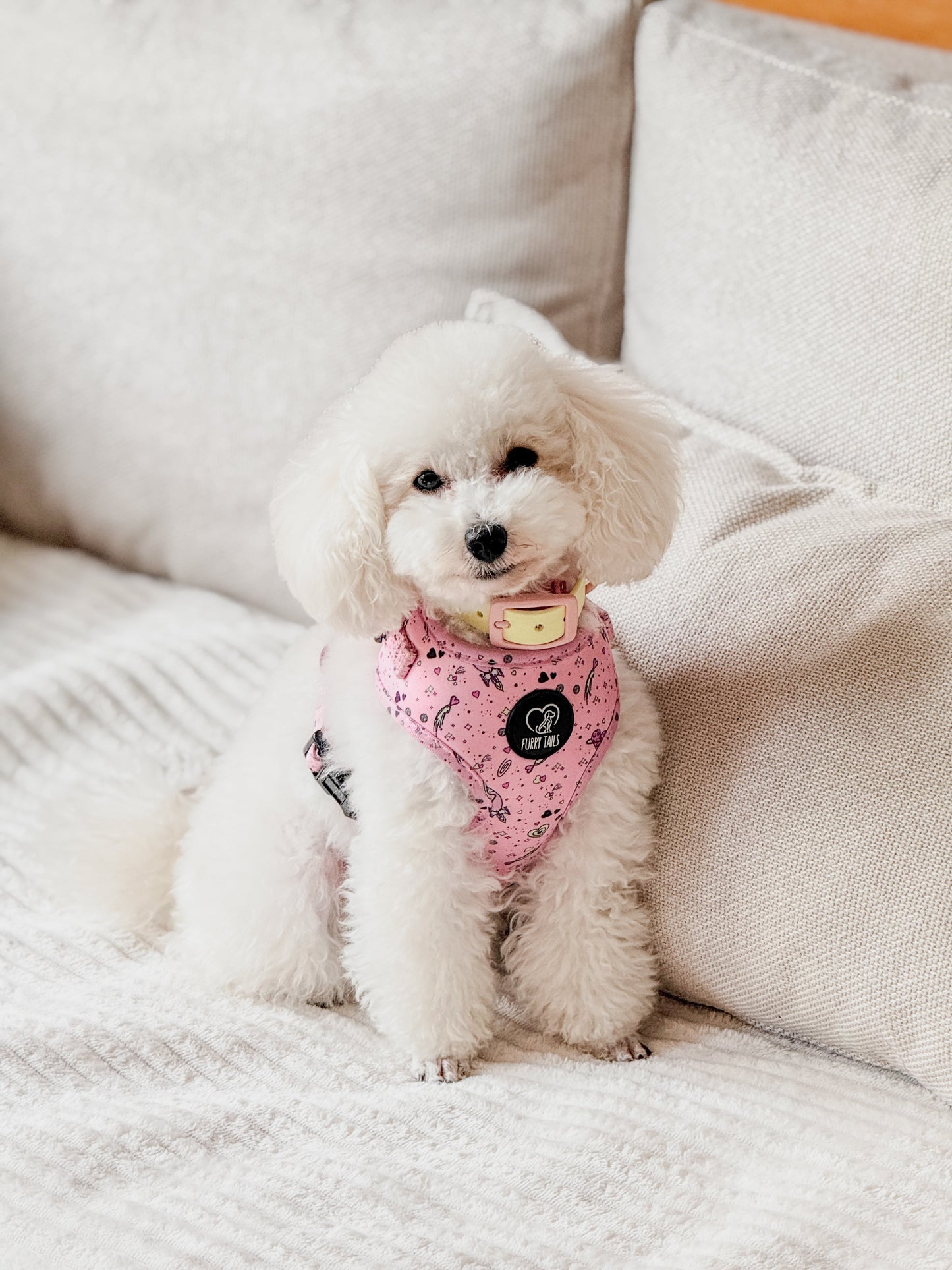 Adjustable Dog Harness - "Love You To The Moon And Back"