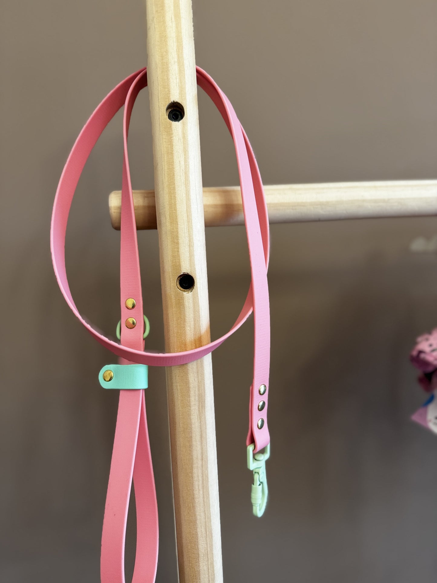 Design Your Own Biothane Leash