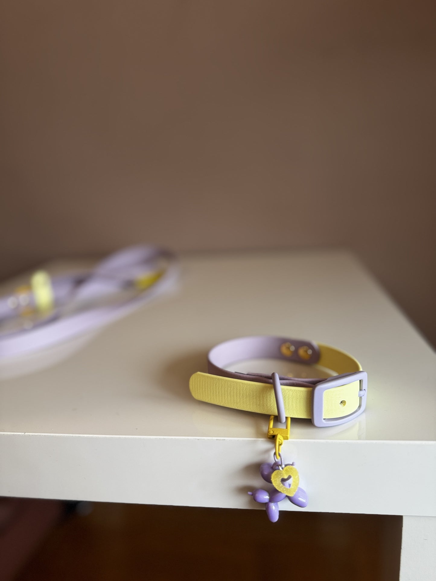 Design Your Own Biothane Collar