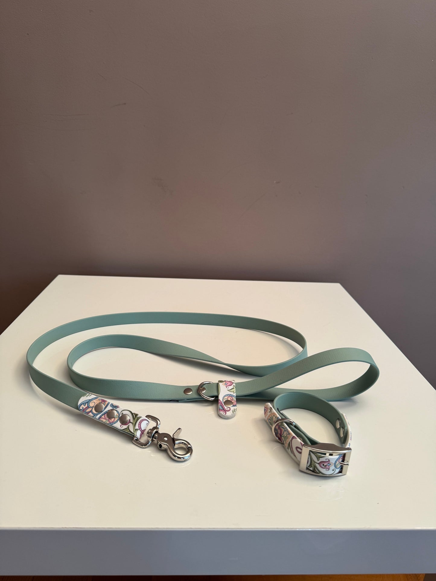 Πορτοκαλί Λουρί Biothane