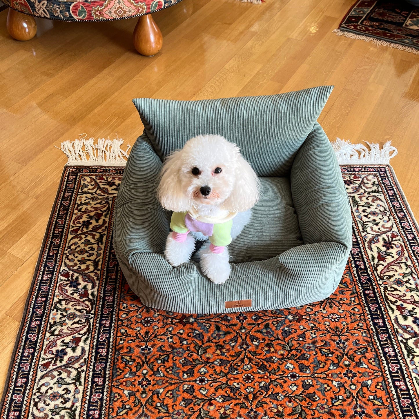 Luxury Dog Car Seat - Corduroy Forest Green