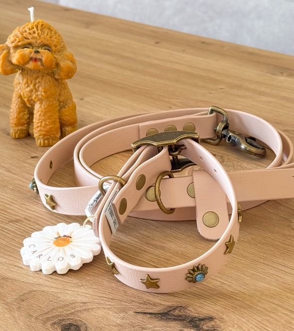 Biothane Collar - Powder Tan with Star Studs & Turquoise Accent