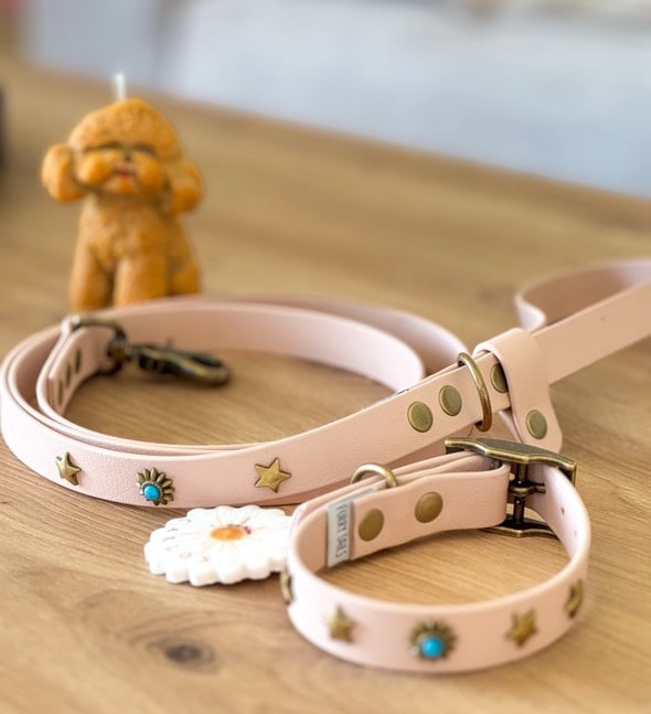 Biothane Collar - Powder Tan with Star Studs & Turquoise Accent