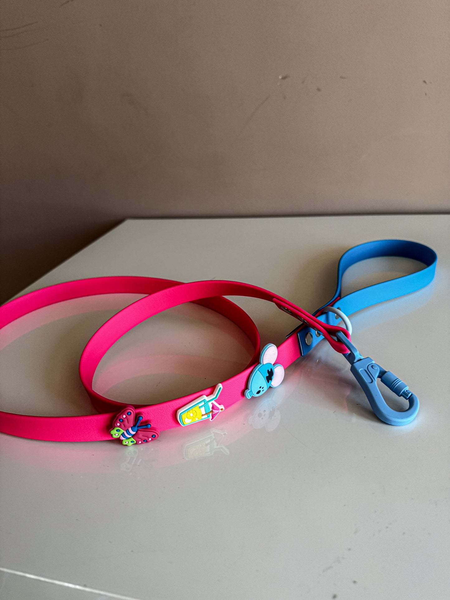 DESIGN YOU OWN WATERPROFF LEASH