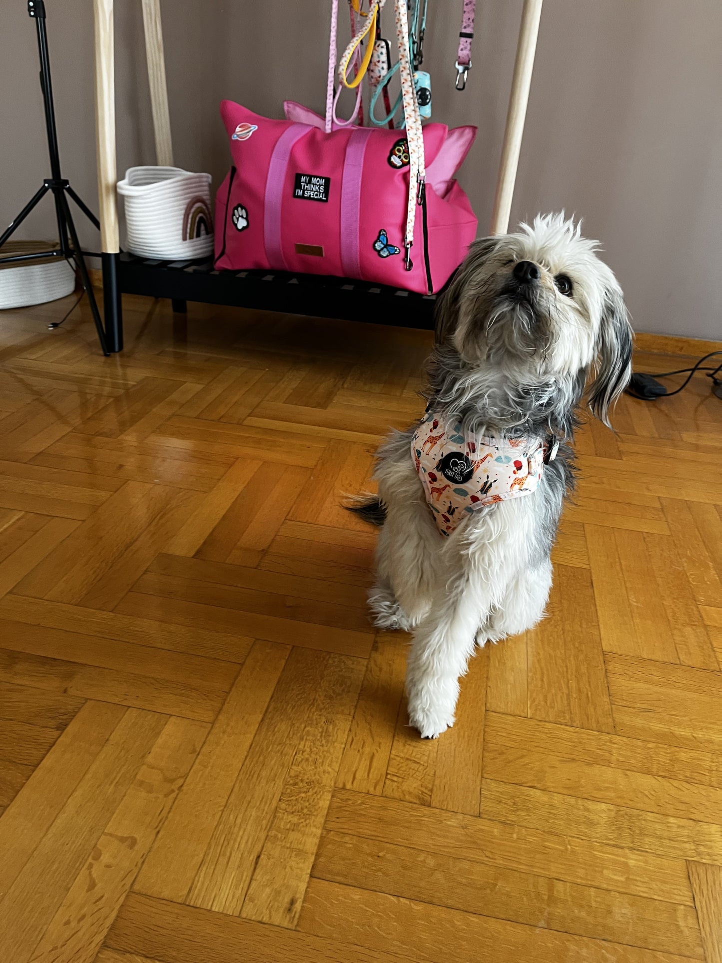 Adjustable Dog Harness - "Out of Afrika"