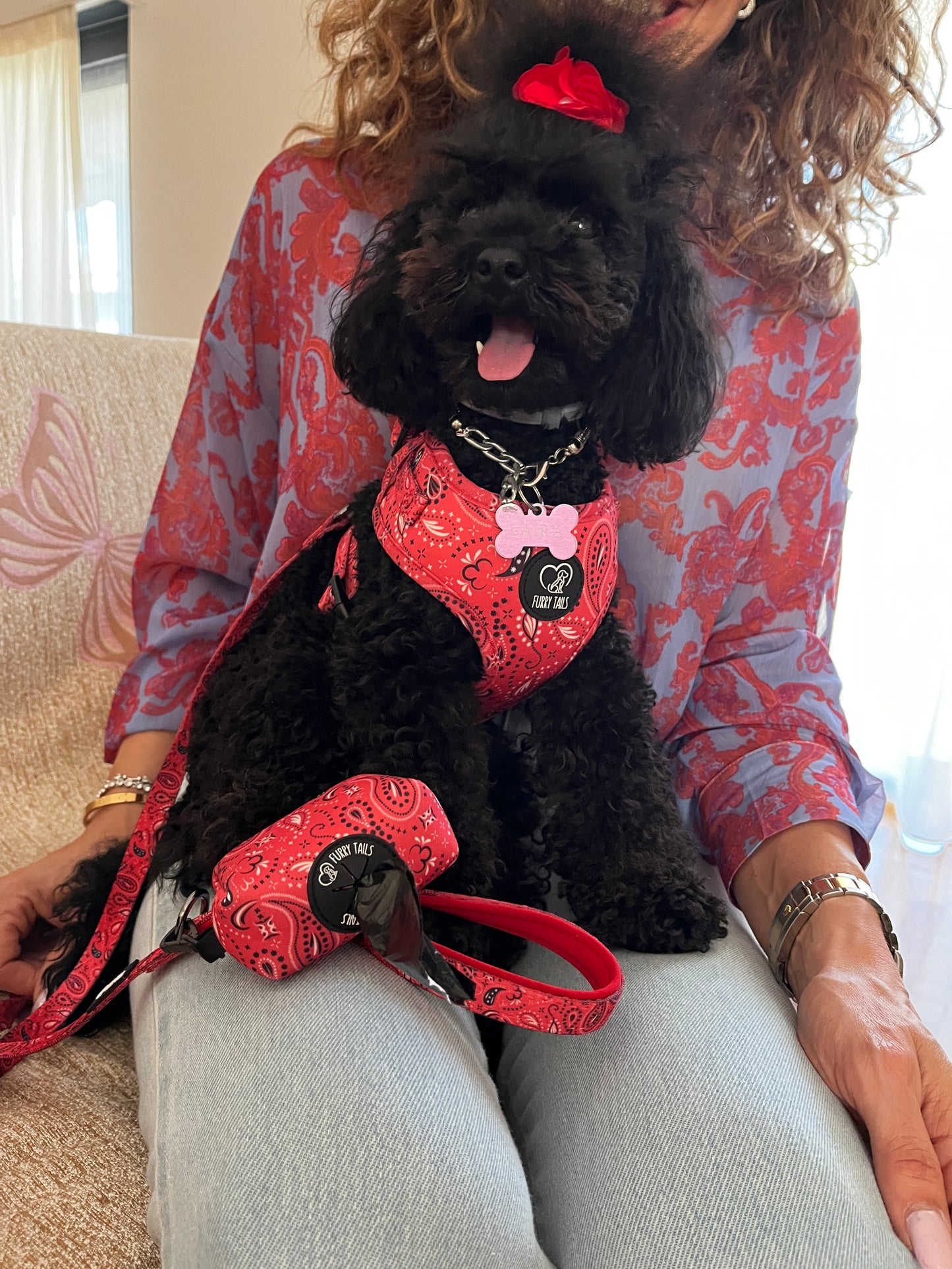 Adjustable Dog Harness - "Red Bandana"