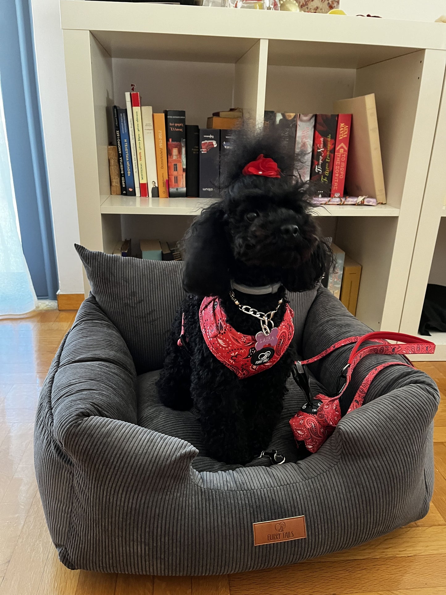 Adjustable Dog Harness - "Red Bandana"