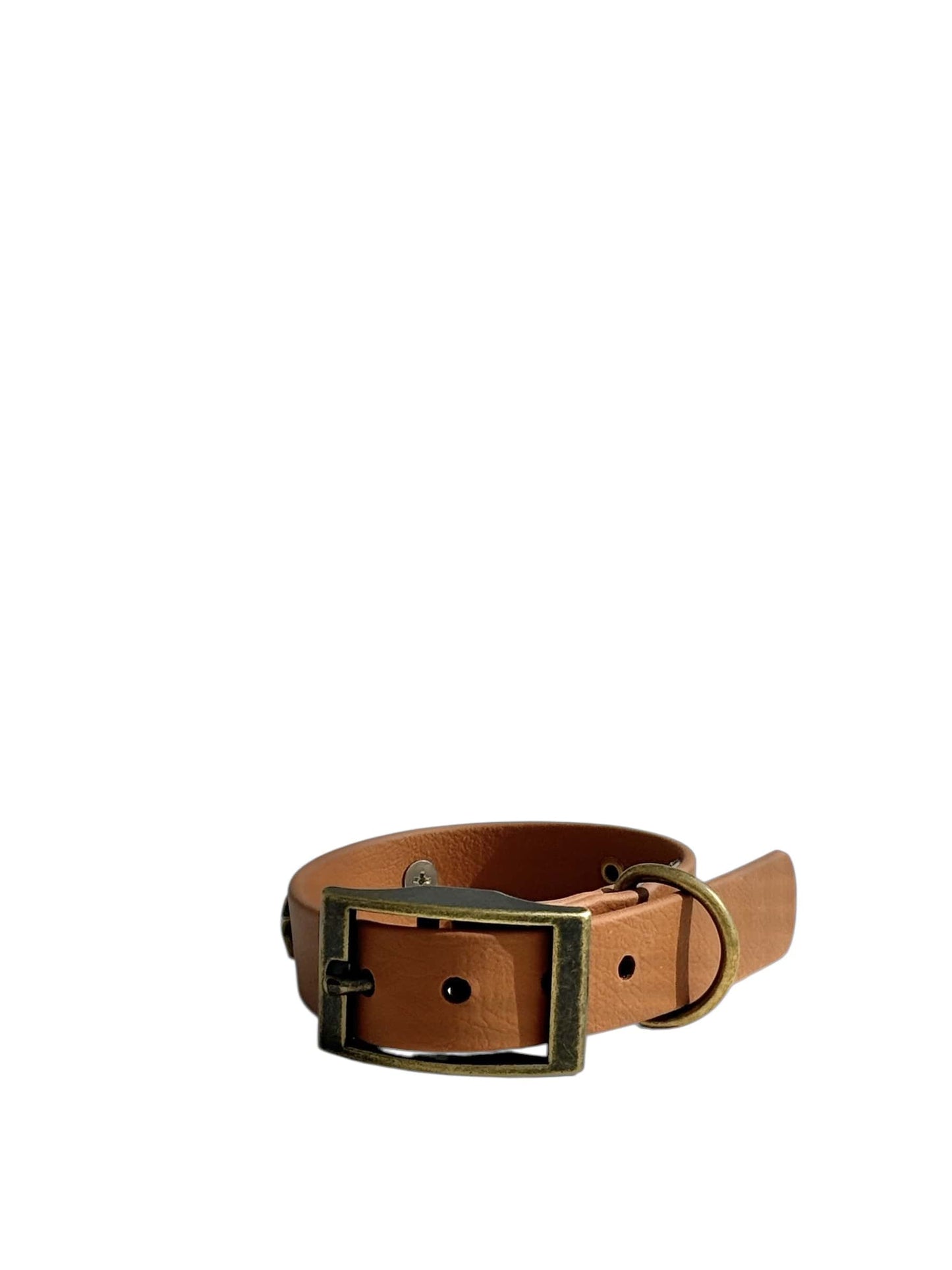 Biothane Collar in Brown - Starry Studs & Turquoise Accent