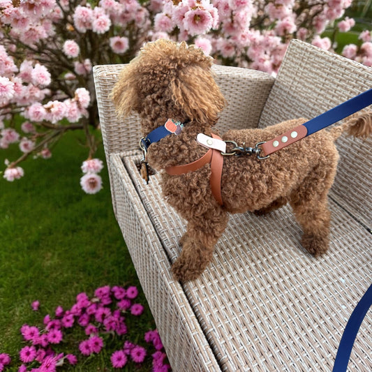 Biothane Harness – Brown & Beige