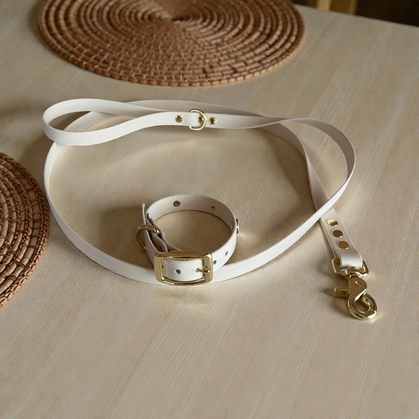 Arctic Wolf Biothane Leash