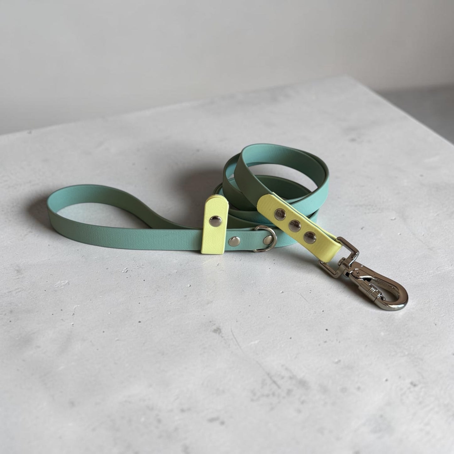 Βiothane Leash - Sage & Lemon Sorbet