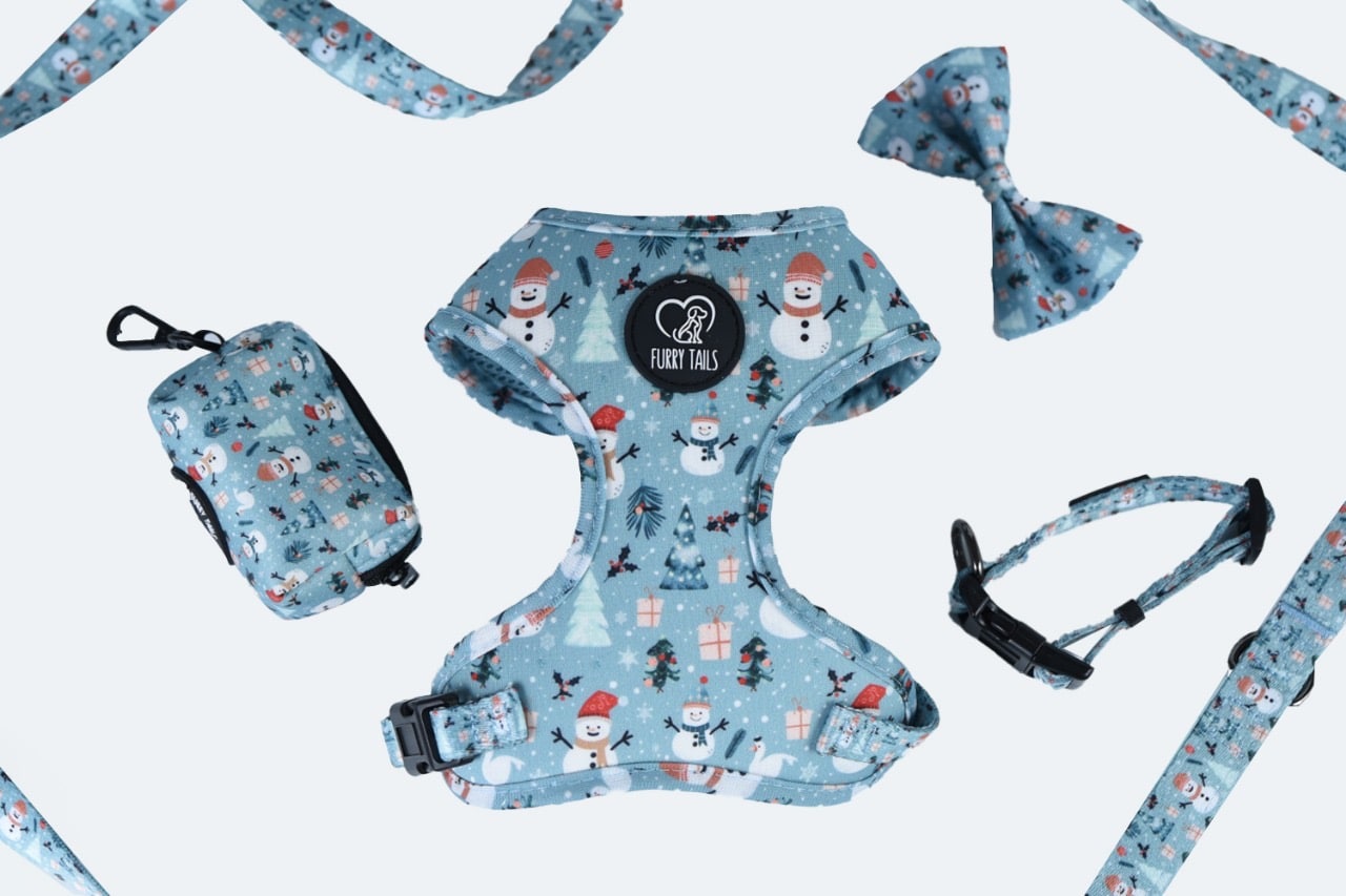 "Snow Much Fun" Bundle
