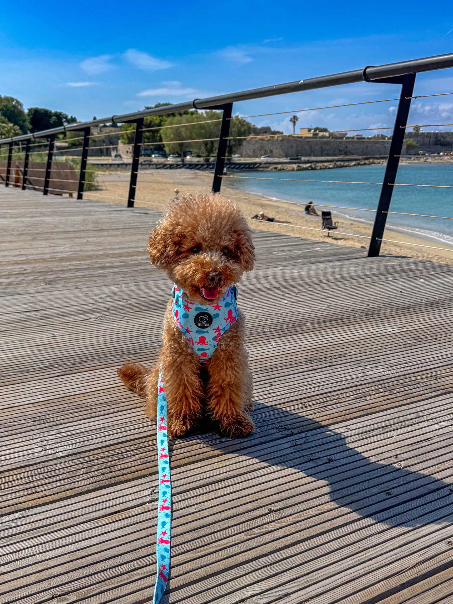 Adjustable Dog Harness - "Deep Sea"