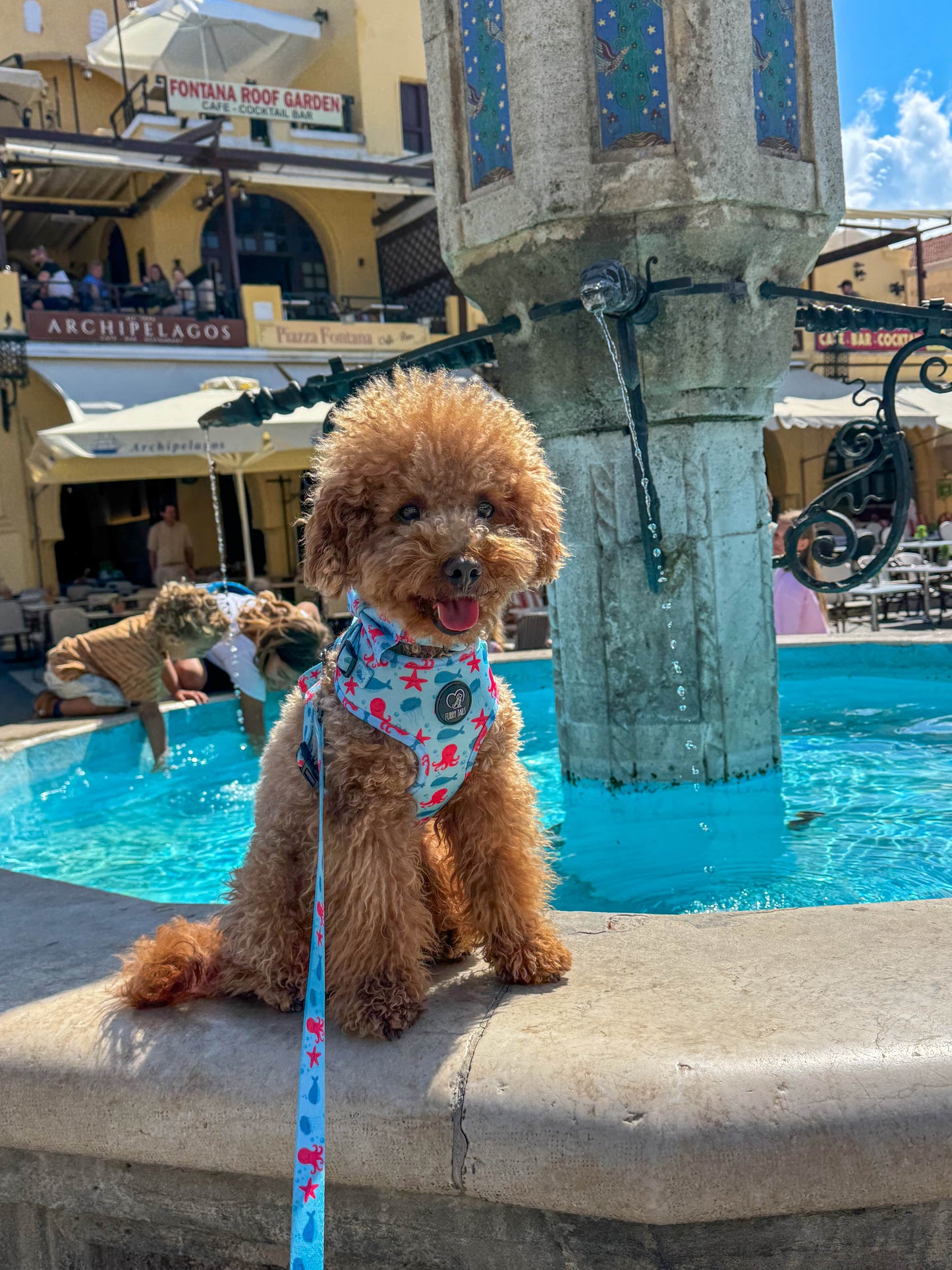 Adjustable Dog Harness - "Deep Sea"