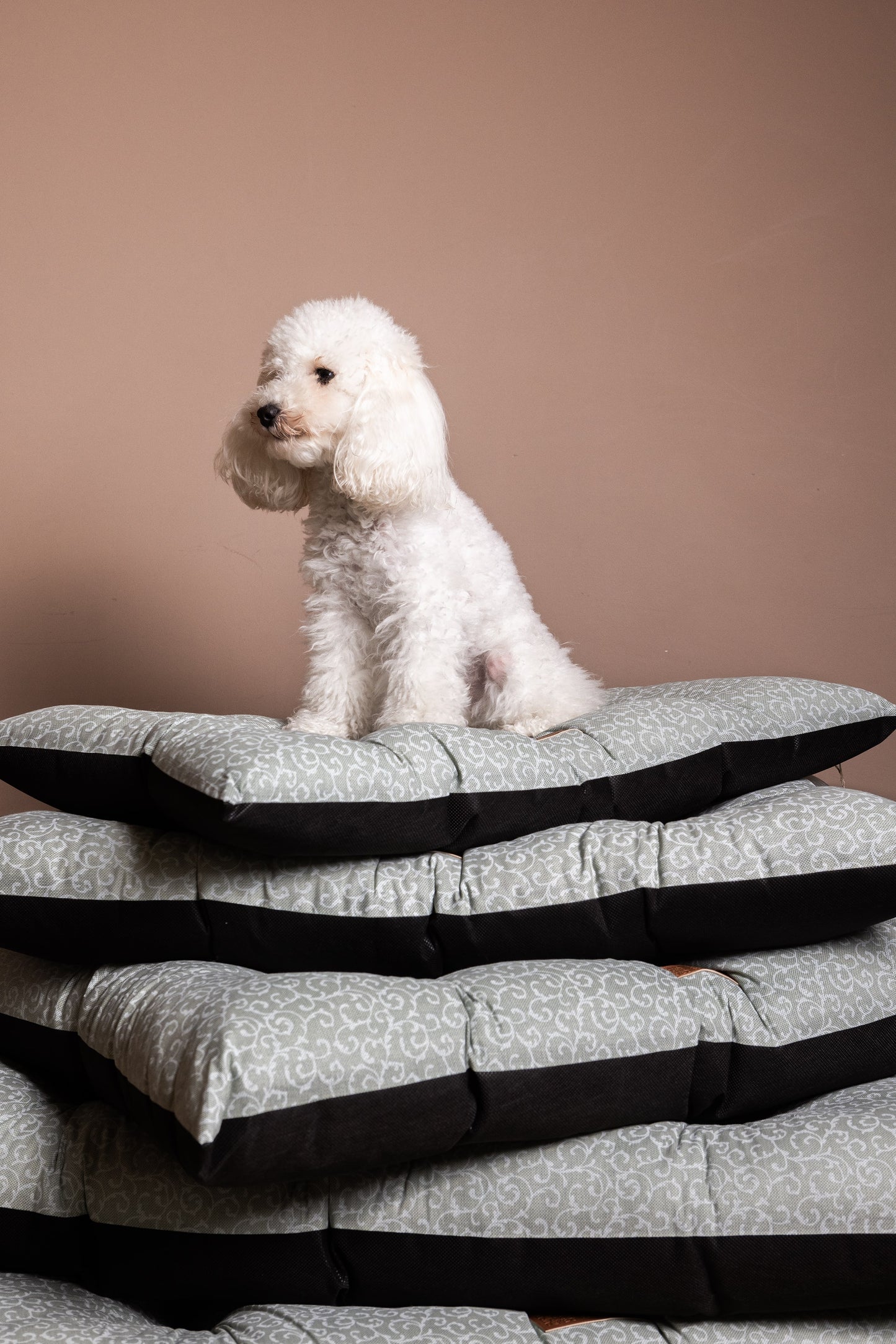 Dog Bed - Lazy