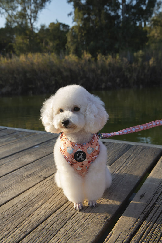 Adjustable Dog Harness - "Puppuccino and Cream"