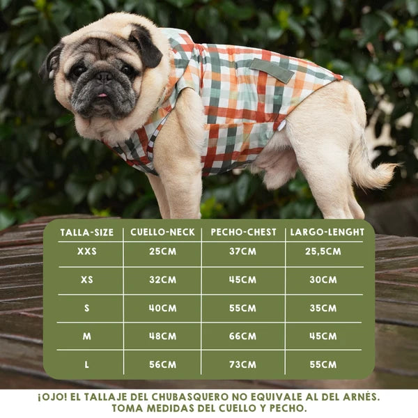 Autumn Picnic Raincoat