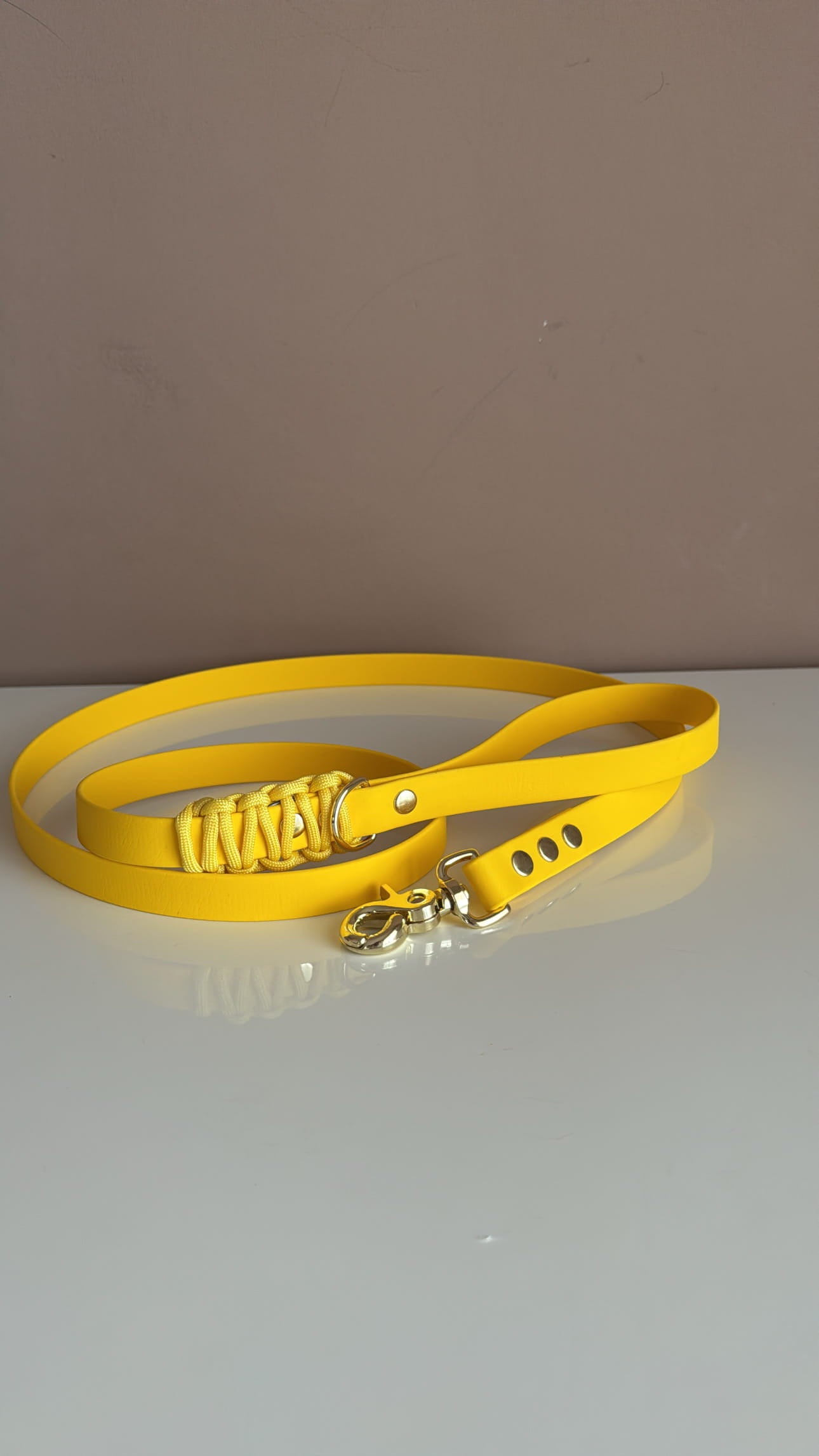 Sunburst Βiothane Leash