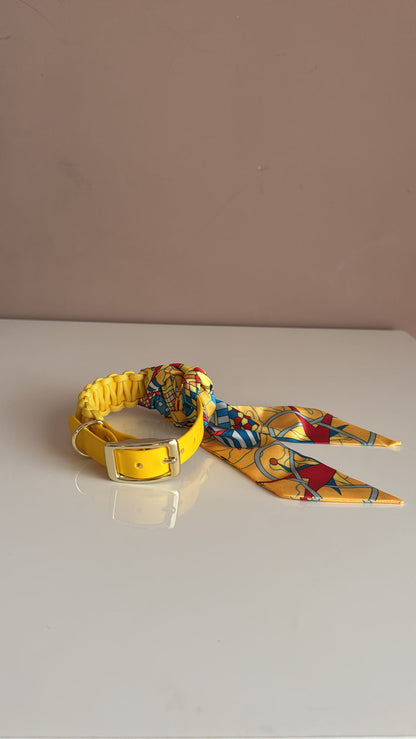 Sunburst Biothane collar