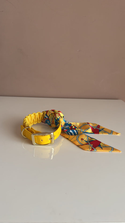 Sunburst Biothane collar