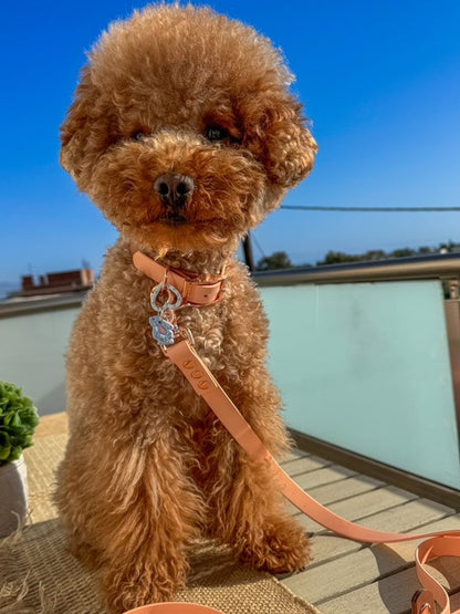 Two Tone Biothane Waterproof Collar -Peach and Brown - Rose Gold accessories