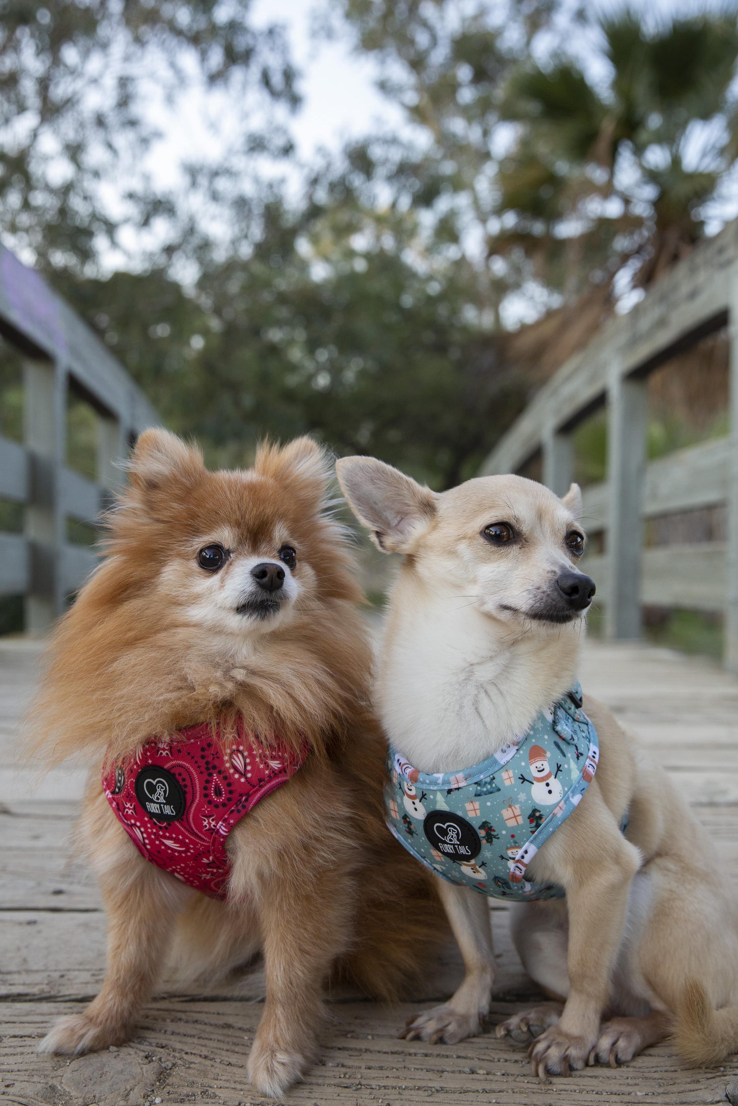 Adjustable Dog Harness - "Red Bandana"