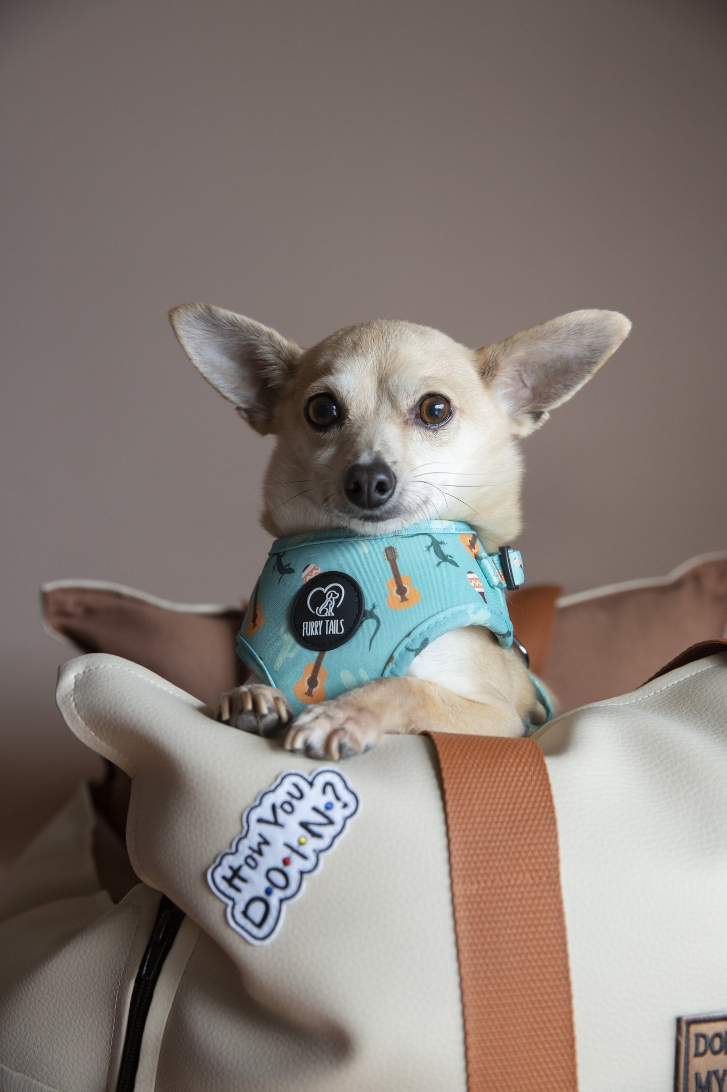 LUXURY DOG CAR SEAT / TRAVEL BAG - "COTTON CANDY"